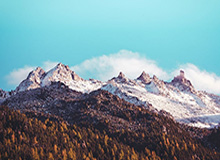 本来只是随手一点，结果91网址导航让不少人当场沉默